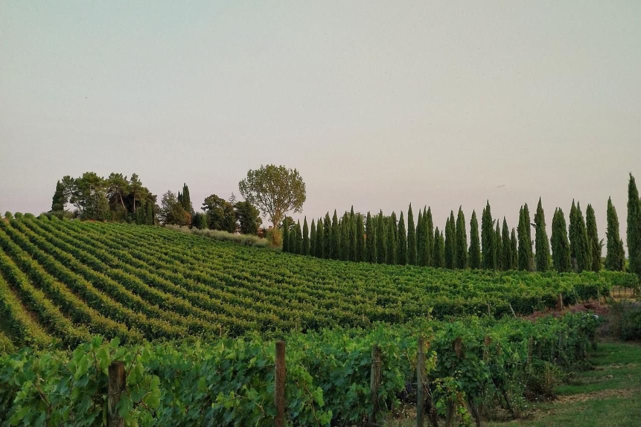 Villa Nottola Montepulciano Luaran gambar